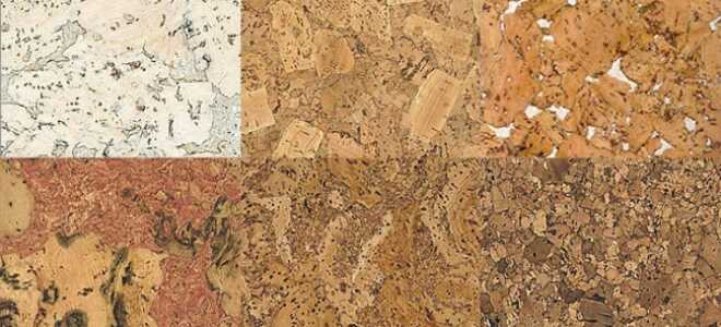 Особенности пробковых покрытий для стен