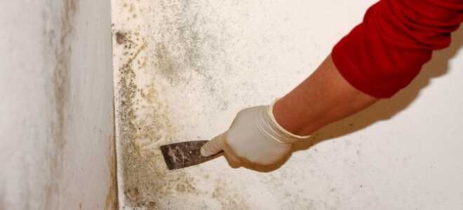 Ремонт балкона своими руками — этапы работ