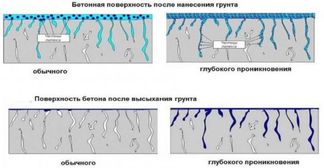 механизм проникновения грунтовки в бетон